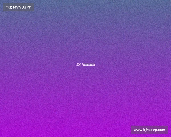 2017年世界散打王比赛